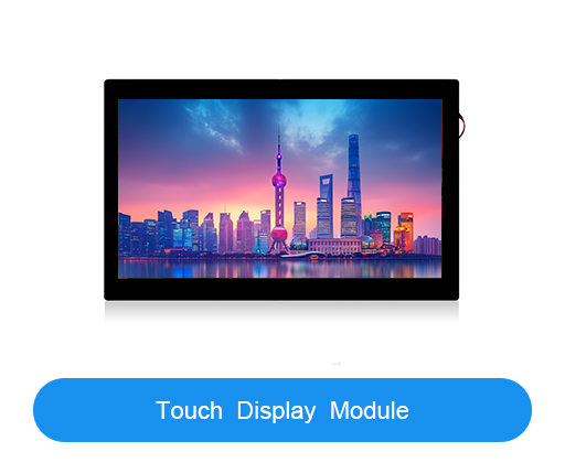 Touch display module
