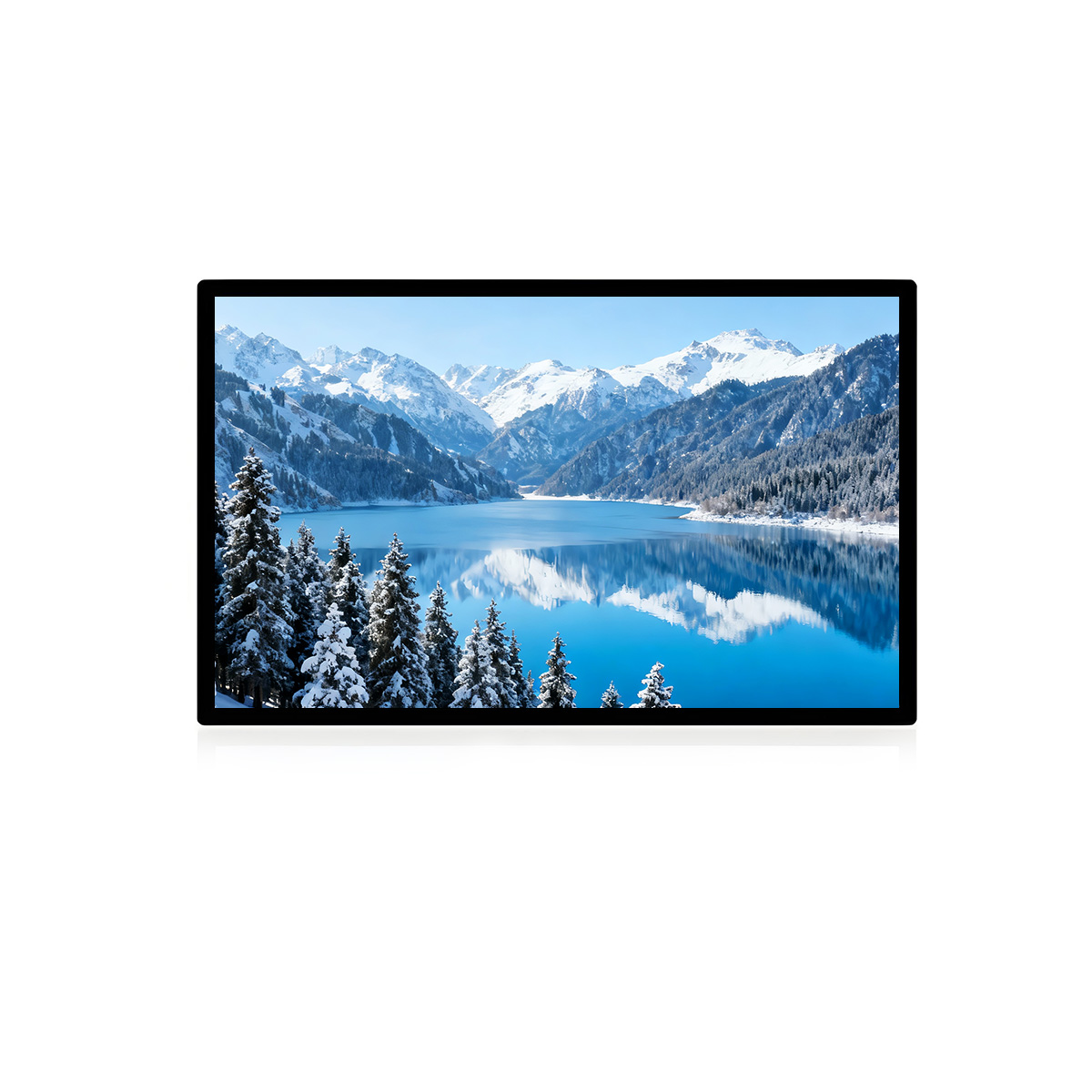 55inch Touch Monitor