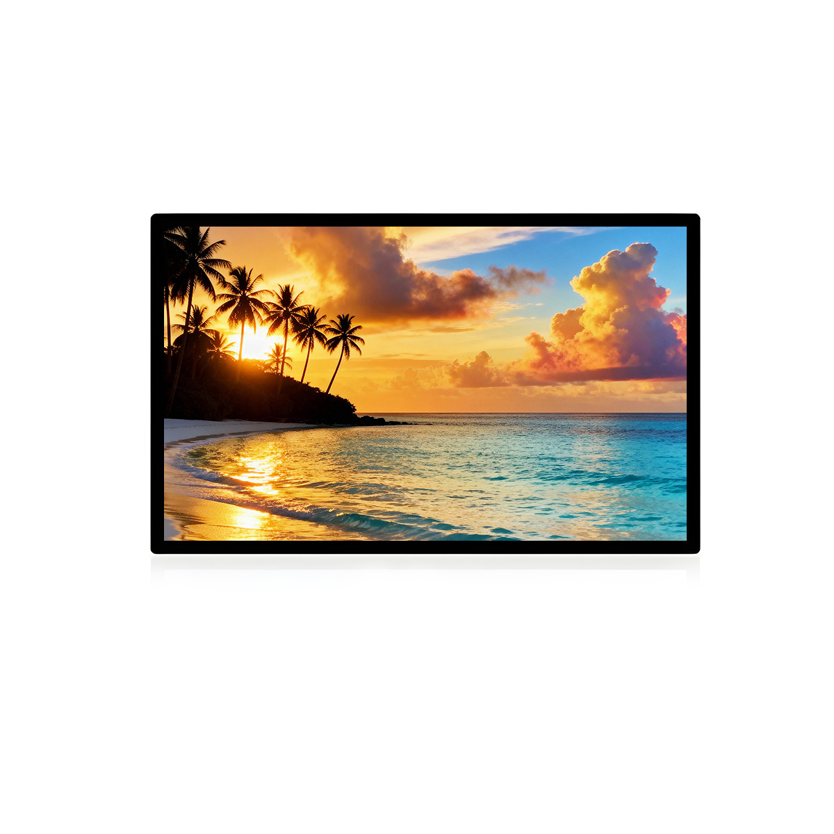 23.8 inch Touch Monitor